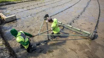 Penerapan Sistem PM-AAS untuk Efisiensi Tanam dan Peningkatan Hasil Panen Padi