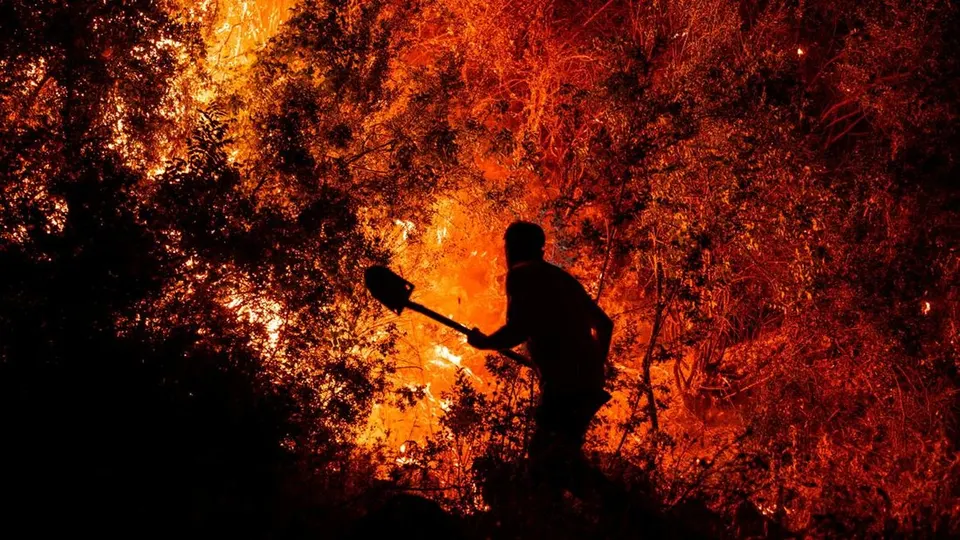 Panduan Mitigasi dan Manajemen Risiko Bencana, Pelajaran dari Kebakaran Hutan di Mugla Turki