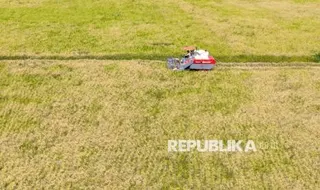 Kebijakan Harga Bulog Pacu Semangat Petani Penajam Paser Utara Garap Sawah