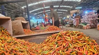 Harga Cabai Merah Tembus Rp 59.650 per Kilogram, Ini Imbasnya pada Anggaran Pekerja Mandiri