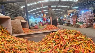 Harga Cabai Merah Tembus Rp 59.650 per Kilogram, Ini Imbasnya pada Anggaran Pekerja Mandiri