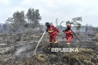 Sekolah Libur Akibat Karhutla, BGN Atur Penyaluran MBG