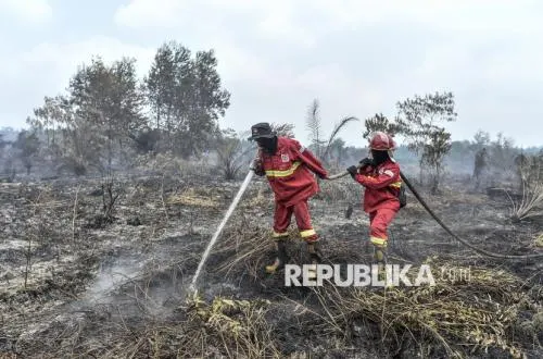 Sekolah Libur Akibat Karhutla, BGN Atur Penyaluran MBG
