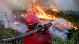 Cara Memonetisasi Foto Jurnalistik Kebakaran Lahan di Ogan Ilir bagi Kontributor Lepas