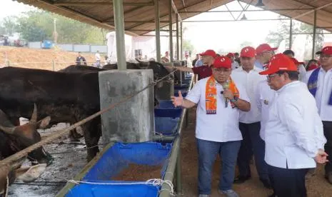 Peluang Ekonomi dan Kemitraan di Kawasan Peternakan Terintegrasi Ciangir