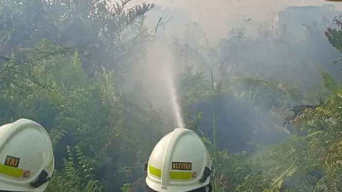 Area Terbakar di Kampung Bandan Jakut Capai 0,5 Hektare, Dipicu Puntung Rokok
