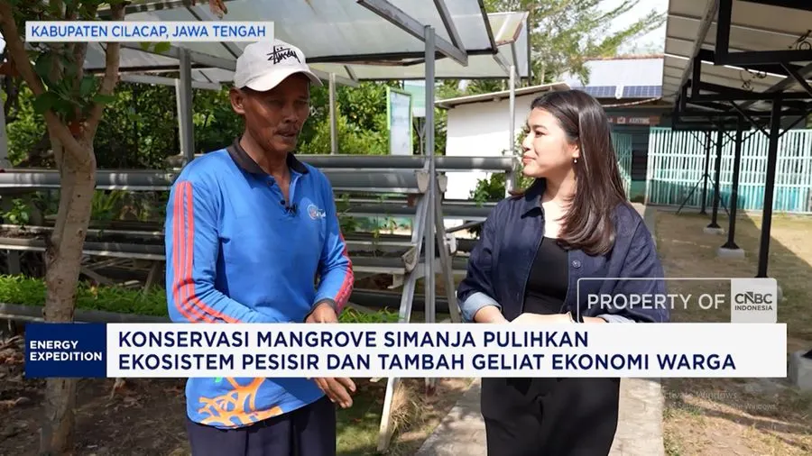 Konservasi Mangrove Simanja Pulihkan Ekosistem Pesisir dan Gerakkan Ekonomi di Cilacap