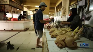 Harga Ayam, Telur, hingga Beras Ancam Daerah, Mendagri Minta Pemda Waspada