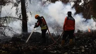 Bupati Kalbar Minta Perusahaan Ikut Bantu Atasi Karhutla, Ketentuan dan Langkah Penanganannya