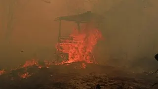 Data BPBD, 936 Hektare Hutan dan Lahan Terbakar di Kalimantan Timur