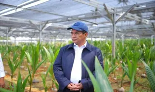 Program Benih Unggul Gratis Kementerian Pertanian untuk 870 Ribu Hektare Lahan Perkebunan Nasional