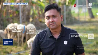 Kisah Pemuda Tuban Membangun Peternakan Domba Modern dari Beasiswa Pendidikan