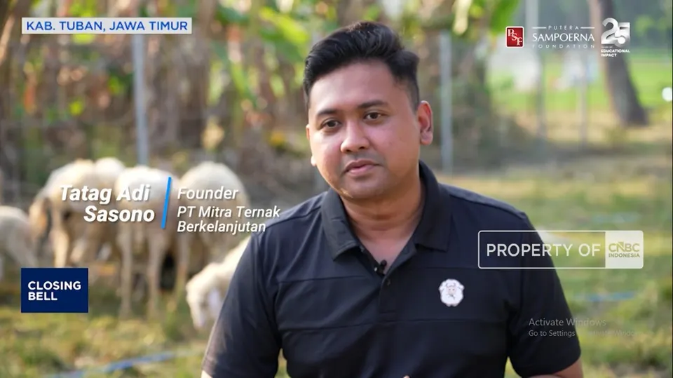 Kisah Pemuda Tuban Membangun Peternakan Domba Modern dari Beasiswa Pendidikan