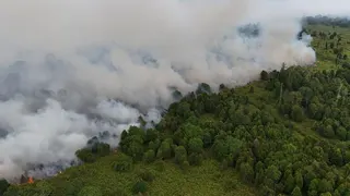 Gunung Lakawan Enrekang Terbakar, Luas Lahan Terdampak Capai 500 Hektare