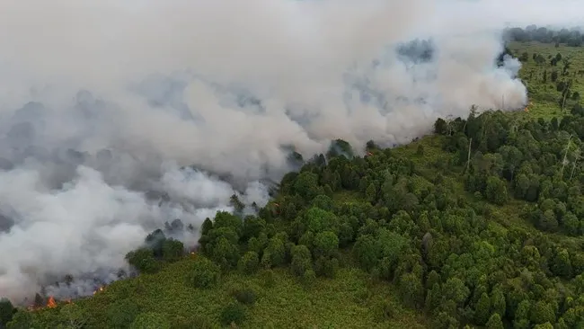 Gunung Lakawan Enrekang Terbakar, Luas Lahan Terdampak Capai 500 Hektare