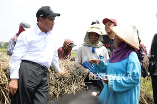 Mentan Amran Raih Penilaian Kinerja Terbaik Dua Tahun Berturut-turut di Kabinet Merah Putih