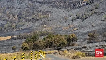 Kebakaran Hanguskan Ratusan Hektare Savana Gunung Bromo, Sebagian Kawasan Wisata Ditutup