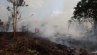 Pesawat Asing Ikut Tangani Karhutla, Mekanisme Perizinan, Sertifikasi, dan Pengaturan Ruang Udara