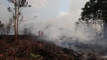 Pesawat Asing Ikut Tangani Karhutla, Mekanisme Perizinan, Sertifikasi, dan Pengaturan Ruang Udara