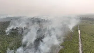 Kemenhub Proses 35 Izin Khusus Pesawat Asing untuk Penanganan Karhutla di Kalimantan