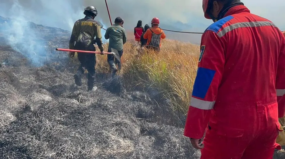 Langkah Antisipasi bagi Pelaku Usaha Pariwisata Menghadapi Kebakaran Gunung Bromo