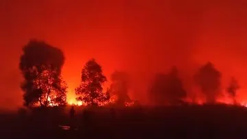 Kemenhut Ungkap Tantangan Pemadaman Kebakaran Hutan di Resort Kuala Penet Taman Nasional Way Kambas