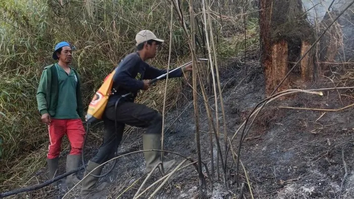 Hutan di Ranu Kembang Kebakaran, Pendakian Gunung Semeru Ditutup Total