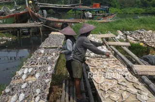 Kredit Industri Pengolahan Tumbuh 16,85 Persen, Jadi Penopang Utama Perbankan