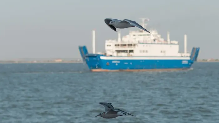 Kapal Virgo Angkut 243 Orang Hadapi Cuaca Buruk Sebelum Hilang Kontak