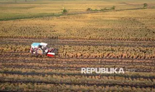 1.297 Koperasi Merah Putih di Jateng Berdiri di Lahan Sawah Dilindungi