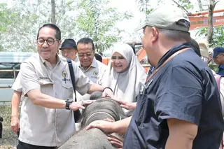 Cegah Karhutla Way Kambas, Firman Soebagyo Dorong Penguatan Deteksi Dini