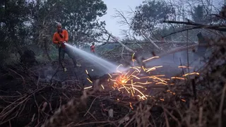 KLH Awasi 19 Perusahaan Terkait Karhutla, Area Terbakar 11.046 Ha