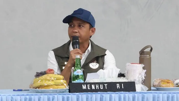 Menhut Ungkap Izin 6 Korporasi Akan Dicabut Buntut Karhutla di Kalimantan