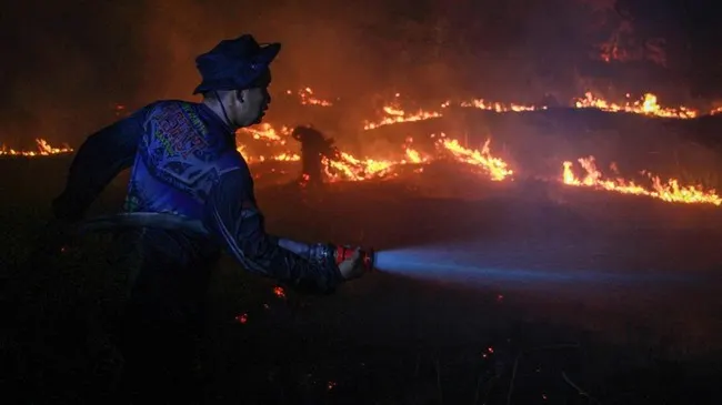 BNPB Catat Titik Panas Karhutla di Kalimantan Tengah Meningkat Jadi 4.359 Titik