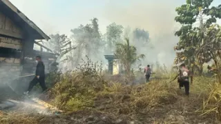 BMKG Deteksi 1.923 Titik Panas di Papua Tengah, Nabire 1.069 Hotspot, Ini Penyebab dan Dampaknya