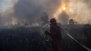 Pemerintah Belum Berencana Meliburkan Sekolah di Tengah Meluasnya Karhutla Akibat El Nino