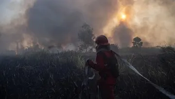 Pemerintah Belum Berencana Meliburkan Sekolah di Tengah Meluasnya Karhutla Akibat El Nino