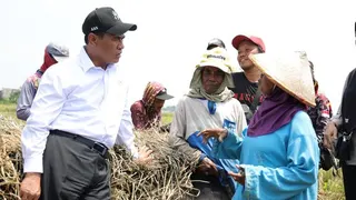 Mentan Amran Raih Kinerja Terbaik di Kabinet Versi IndexPolitica Indonesia