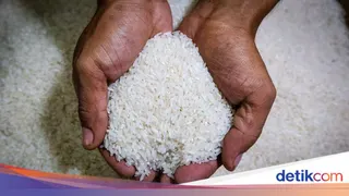 Ketentuan Penyaluran Bantuan Pangan Beras Cadangan Beras Pemerintah Bapanas, Syarat, Kuota, dan Mekanismenya