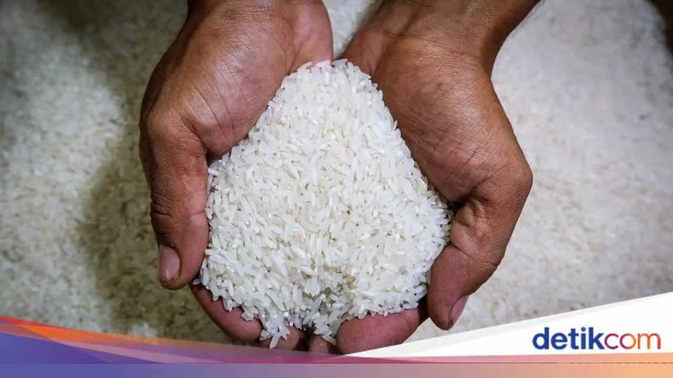 Ketentuan Penyaluran Bantuan Pangan Beras Cadangan Beras Pemerintah Bapanas, Syarat, Kuota, dan Mekanismenya