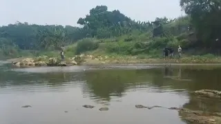 Ada Pipa 'Siluman' di Sungai Cileungsi, Diduga untuk Buang Limbah