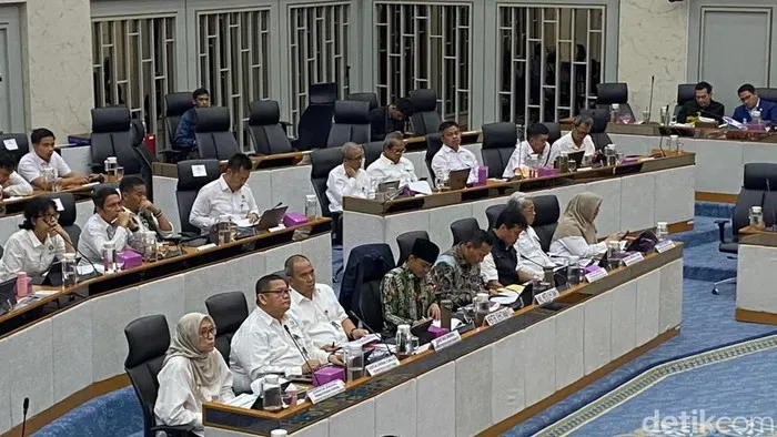 Legislator PDIP Soroti Anggaran Kemenhut untuk Cegah Karhutla, Sikap Pasrah