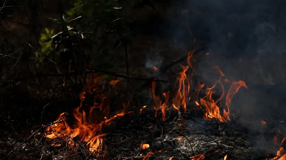Dampak Kebakaran Hutan dan Penurunan Kapasitas Energi Terhadap Infrastruktur Eropa