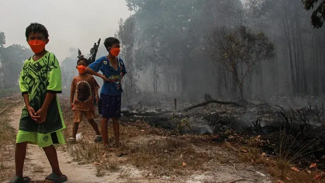 Kemenkes Catat 50.891 Kasus ISPA Imbas Asap Karhutla Selama Juli-Agustus 2026