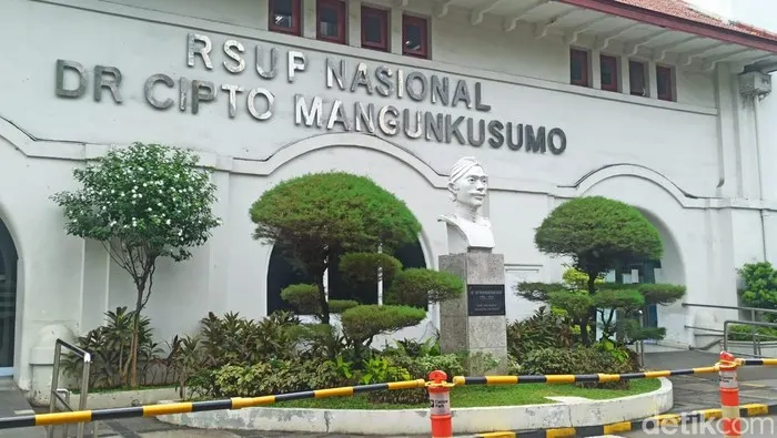 Dibawa ke Jakarta, 2 Korban Keracunan MBG di Karo Sudah Ditangani RSCM