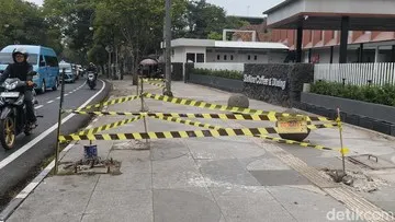 Panduan Kepatuhan Lingkungan Bisnis di Bandung, Sanksi Penebangan Pohon bagi Tempat Usaha