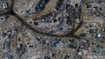 Perusahaan Pengangkut Sampah Ilegal di Cilincing Didenda Rp 10 Juta