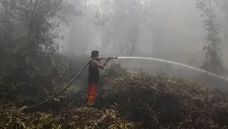 Hotspot Karhutla di Kalteng Bertambah 876 Titik, Jarak Pandang 1 Km