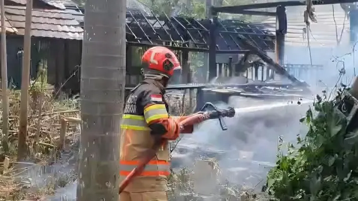 Lahan Ilalang dan Gubuk di Kedungbadak Bogor Terbakar Usai Warga Bakar Rumput