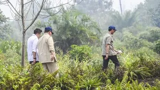 Prabowo Terbang ke Riau Tinjau Langsung Penanganan Karhutla Sumatra